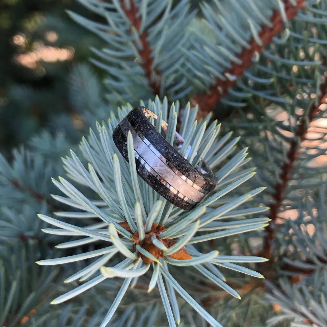 8mm Gibeon Meteorite Ring with Cosmic Dark Stardust Edges, Stardust Meteorite Wedding Band