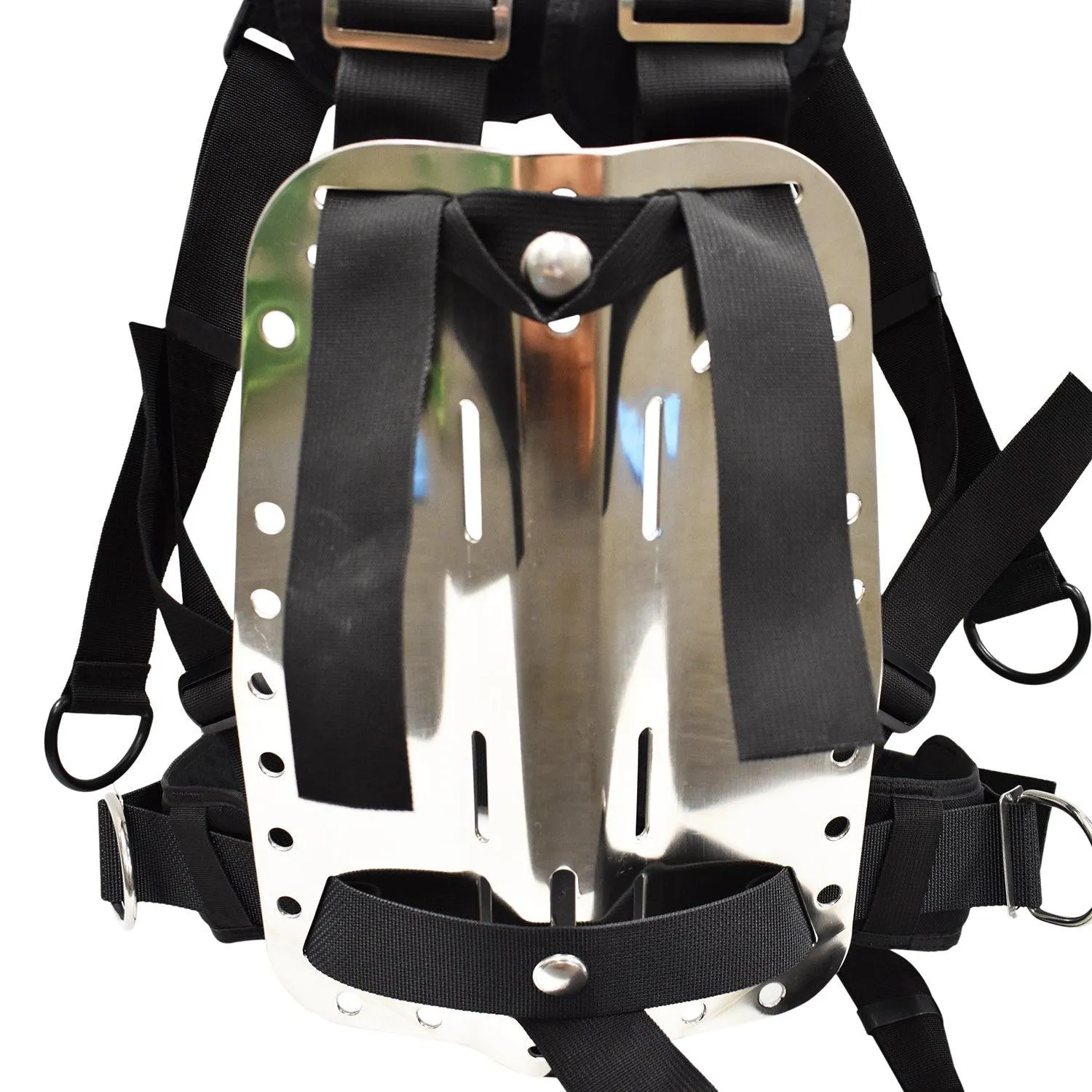 Palantic Deluxe Backplate Harness System