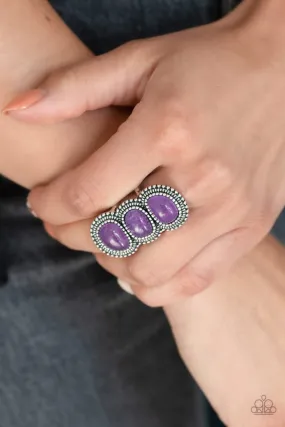 Paparazzi Ring ~ Radiant Rubble - Purple